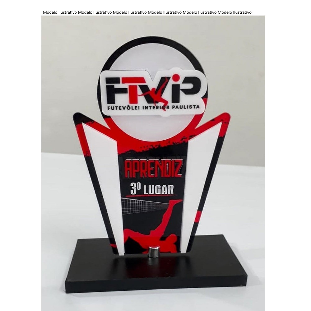 TROFÉU EM ACRILICO-TROFÉU